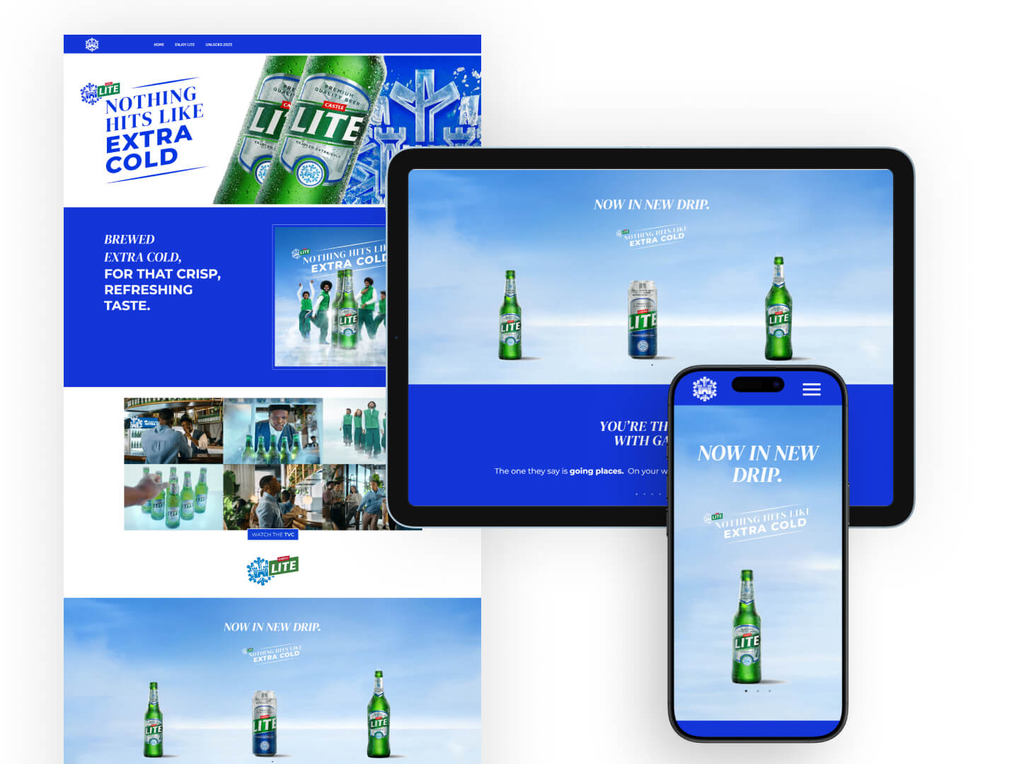 At Teqnovos, Castle Lite project results showcasing modern design, improved functionality, and seamless user interaction.